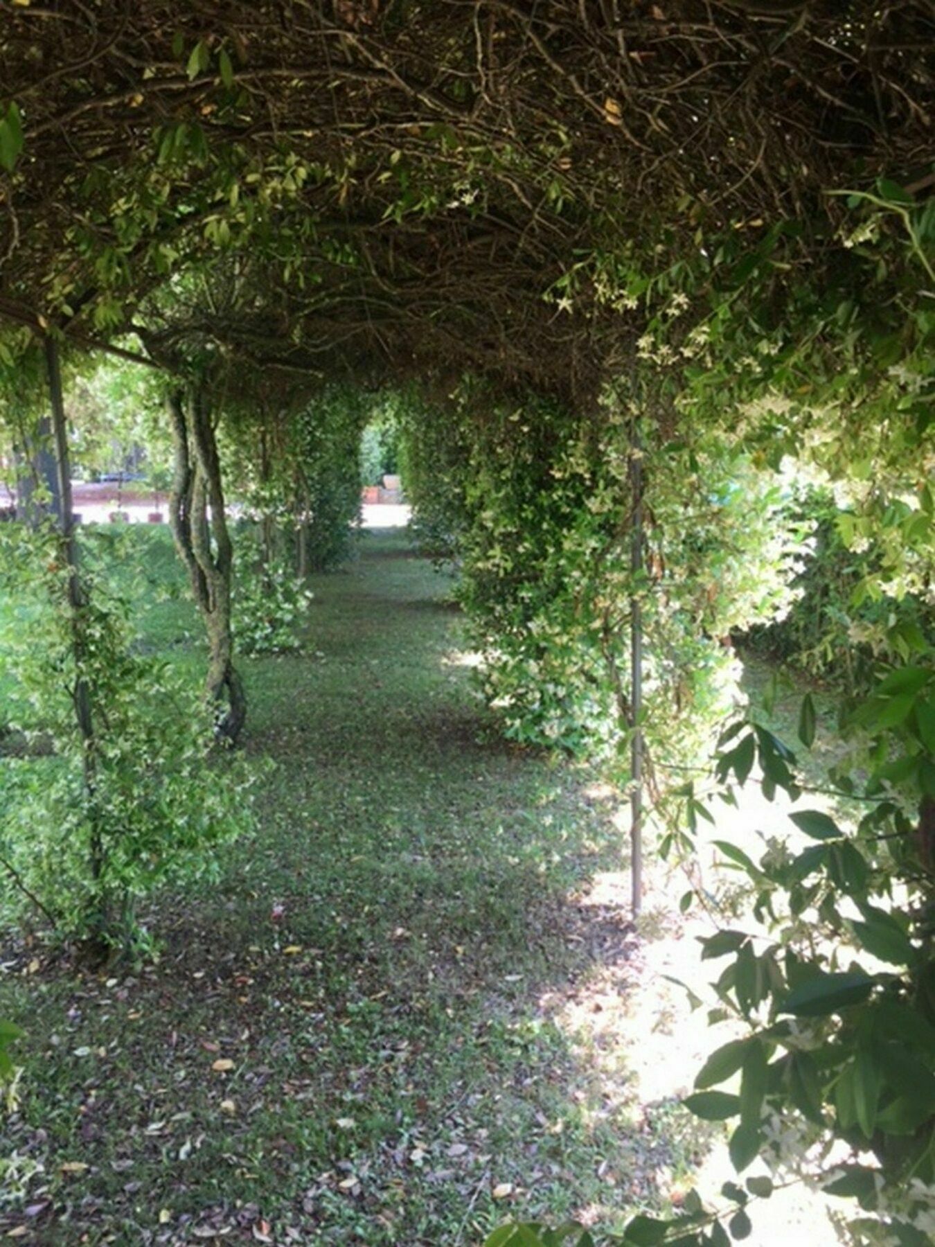 Relais Montemaggiore เบตตอลเล ภายนอก รูปภาพ